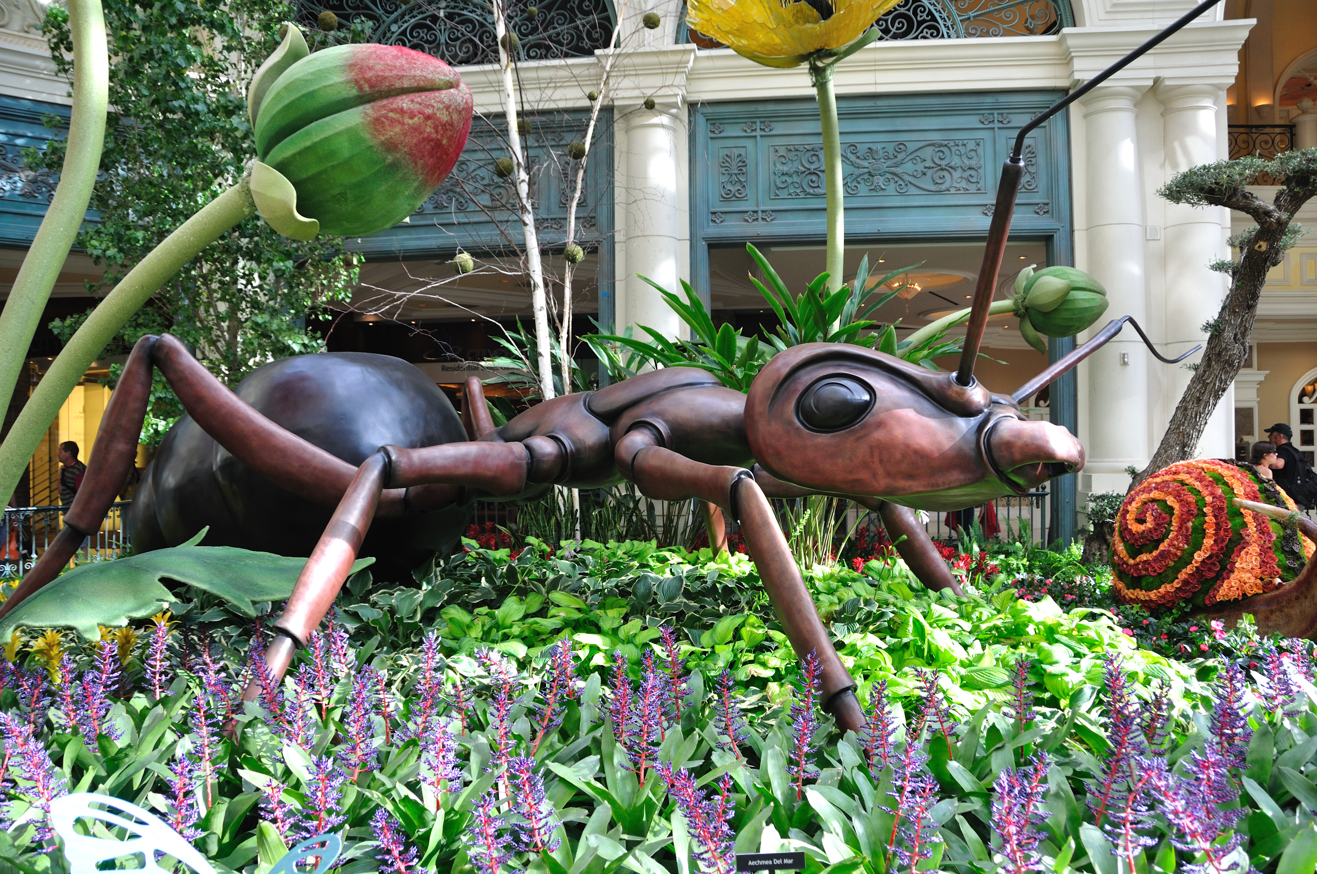 The Ant, Bellagio Conservatory, Las Vegas
