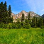 Yosemite Falls