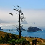 Ecola State Park