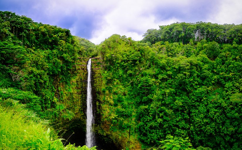 Akaka Falls – Hawaii