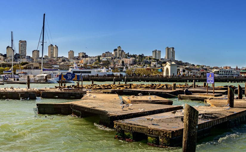 Pier 39 – San Francisco
