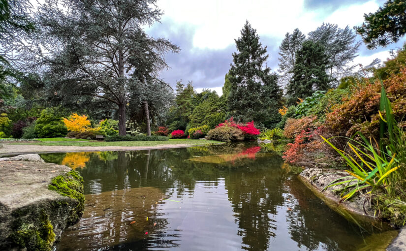 Kubota Garden
