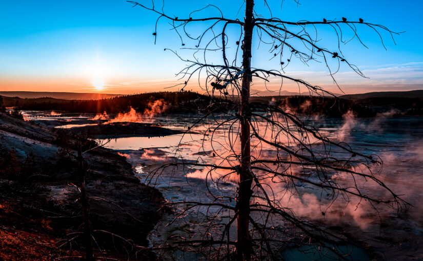 Norris Geyser Basin at sunset