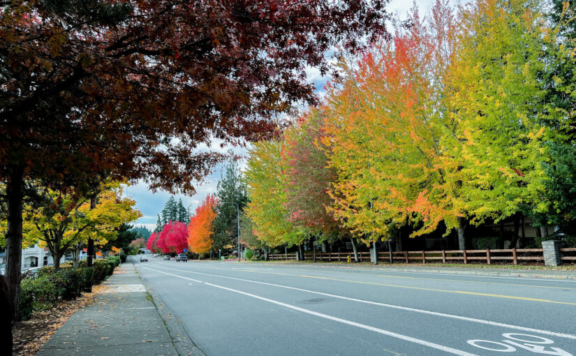 Fall colors